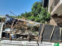 Best Shed Removal  in Downers Grove, IL